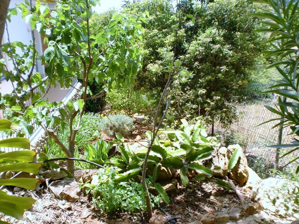Quinta Dos Caracois Village de vacances Lagos